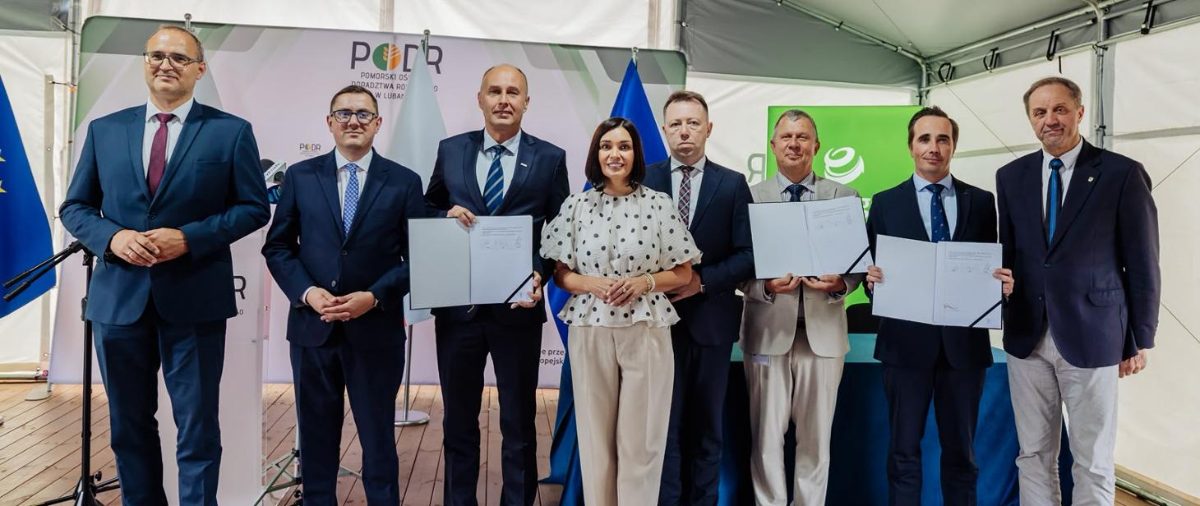 Lubań zyska wyspę energetyczną i system AgroPV - Paragraf